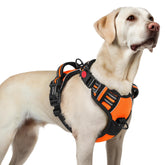 Arnés Rabbitgoo para perro grande con tres hebillas, ideal para paseos seguros.