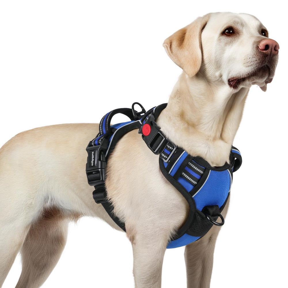 Arnés Rabbitgoo para perro grande con tres hebillas para un ajuste seguro durante el paseo