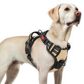 Arnés Rabbitgoo para perro grande con tres hebillas para un ajuste seguro.