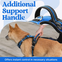 Arnés Rabbitgoo con manija superior amplia para mayor control.