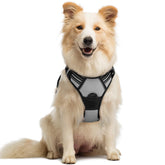Arnés Rabbitgoo vista delantera para perro mediano con control seguro