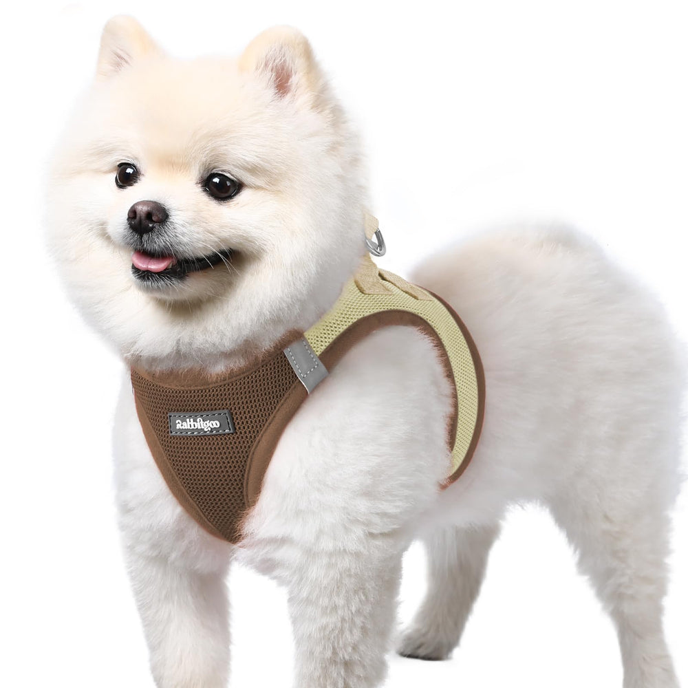 Arnés rabbitgoo para perro pequeño con malla de aire suave