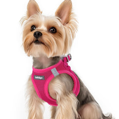 Arnés Rabbitgoo para perro pequeño en rosa de malla suave, ideal para paseos cómodos.
