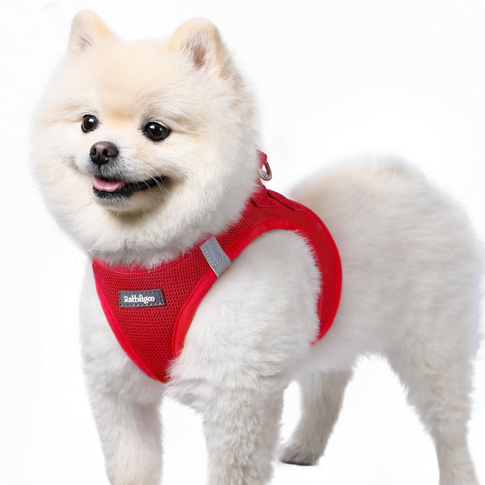 Arnés rabbitgoo para perro pequeño con malla suave, cómodo en paseos