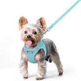 Arnés Rabbitgoo paso-en para perro pequeño, fácil de colocar