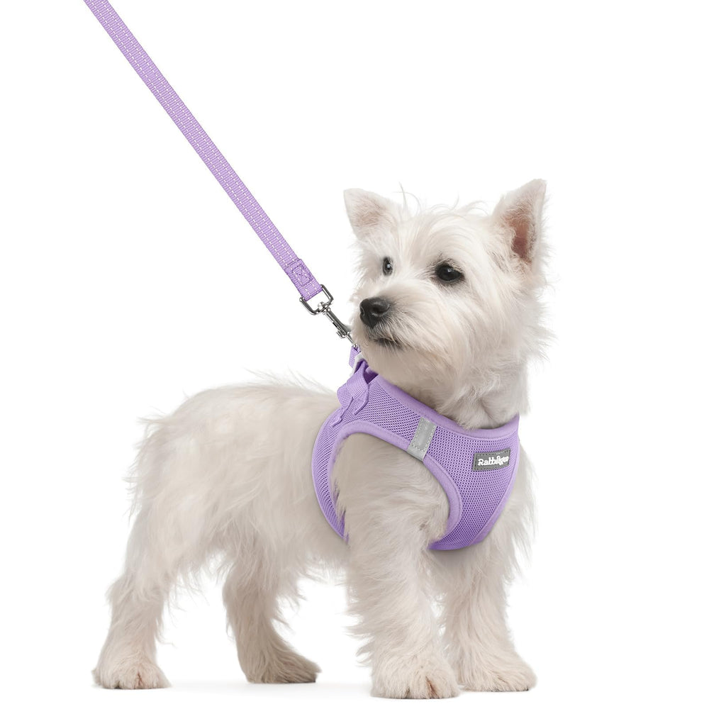 Arnés Rabbitgoo para perro pequeño, cómodo y fácil de colocar, ideal para paseos