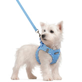 Arnés Rabbitgoo para perro pequeño, paso de entrada, fácil de colocar durante paseos.