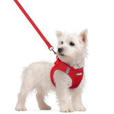 Arnés Rabbitgoo para perro pequeño en malla transpirable para paseos cómodos
