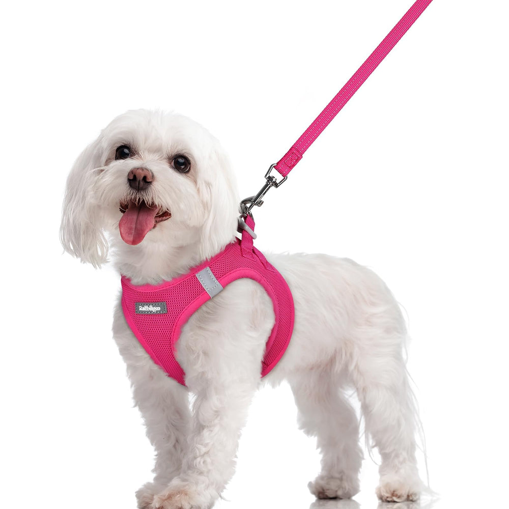 Arnés Rabbitgoo para perro pequeño, talla M, cómodo para paseos diarios.