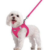 Arnés Rabbitgoo para perro pequeño, talla M, cómodo para paseos diarios.