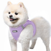 Arnés Rabbitgoo para perro pequeño con tejido de malla transpirable.