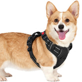 Arnés Rabbitgoo para perro pequeño con tres hebillas para ajuste seguro durante el paseo.