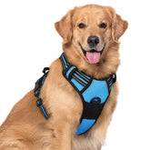 Arnés rabbitgoo para perros, doble anilla, azul XL, ideal para paseos.