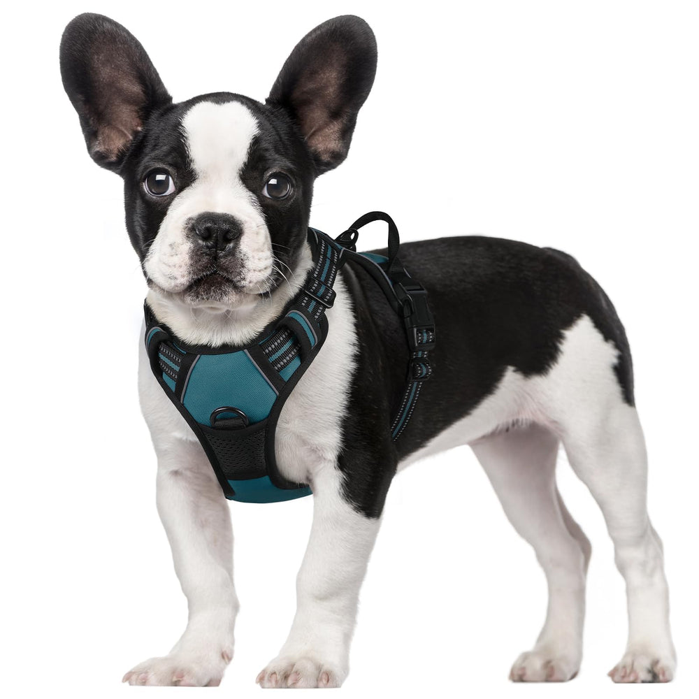 Arnés rabbitgoo para perros sin tirones con dos enganches para paseos seguros