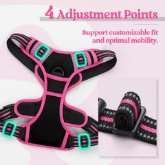 Arnés Rabbitgoo sin tirones con clip de pecho para entrenamiento suave