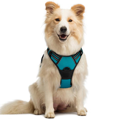 Arnés Rabbitgoo sin tirones en turquesa para perros medianos, ajuste cómodo para paseos seguros.