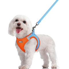 Rabbitgoo arnés para perro talla M con paso de entrada, cómodo para paseos diarios.