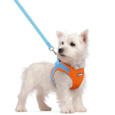 Arnés Rabbitgoo frontal azul y naranja para perros pequeños.