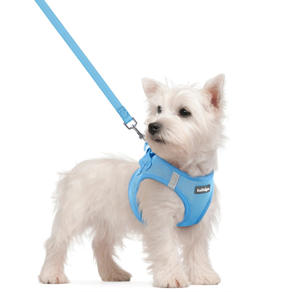 Arnés rabbitgoo talla S, paso a través para perros pequeños