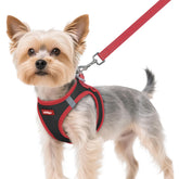Arnés Rabbitgoo para perro XS ofrece ajuste ligero y cómodo.