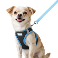 Arnés Rabbitgoo XXS para perros pequeños, ajuste cómodo para paseos diarios.