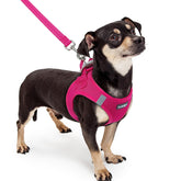 Arnés rabbitgoo XXXS con ajuste fácil para perros pequeños, color rosa.