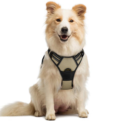Arnés rabbitgoo sin tirones para perro mediano, control cómodo en paseos