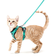 Rabbitgoo arnés de gato esmeralda para paseos cómodos al exterior.