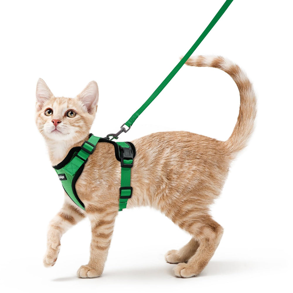 Rabbitgoo arnés para gato con ajuste ergonómico para paseos cómodos.