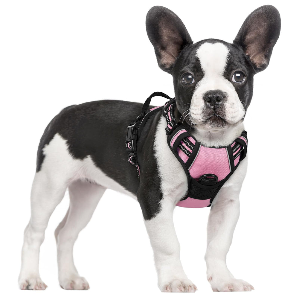 Arnés Rabbitgoo para perro con dos anillos, ideal para paseos más controlados.