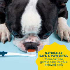 Radius gel dental canino 0-8 oz para limpieza bucal