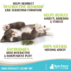 Raw Paws Catnip feuilles et bourgeons séchés prêts pour stimulation naturelle.