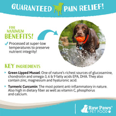 Raw Paws curcuma polvo apoyo suave para bienestar diario