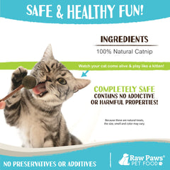 Raw Paws higiene dental para gatos con matatabi, apoyo al cuidado bucal al masticar.