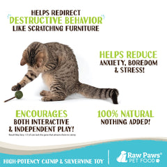 Palitos de matatabi Raw Paws para gatos, ayudan a la higiene dental al masticar.
