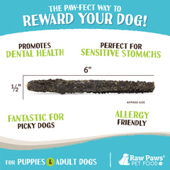 Raw Paws perro masticando palitos tripa cordero verde, snack saludable para limpieza dental.