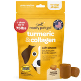 Ready Pet Go, cúrcuma para perros, masticables suaves para apoyo articular.