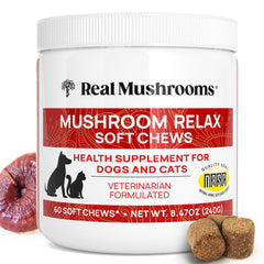 Real Mushrooms Calming Chews, bote de 60 unidades para uso diario.