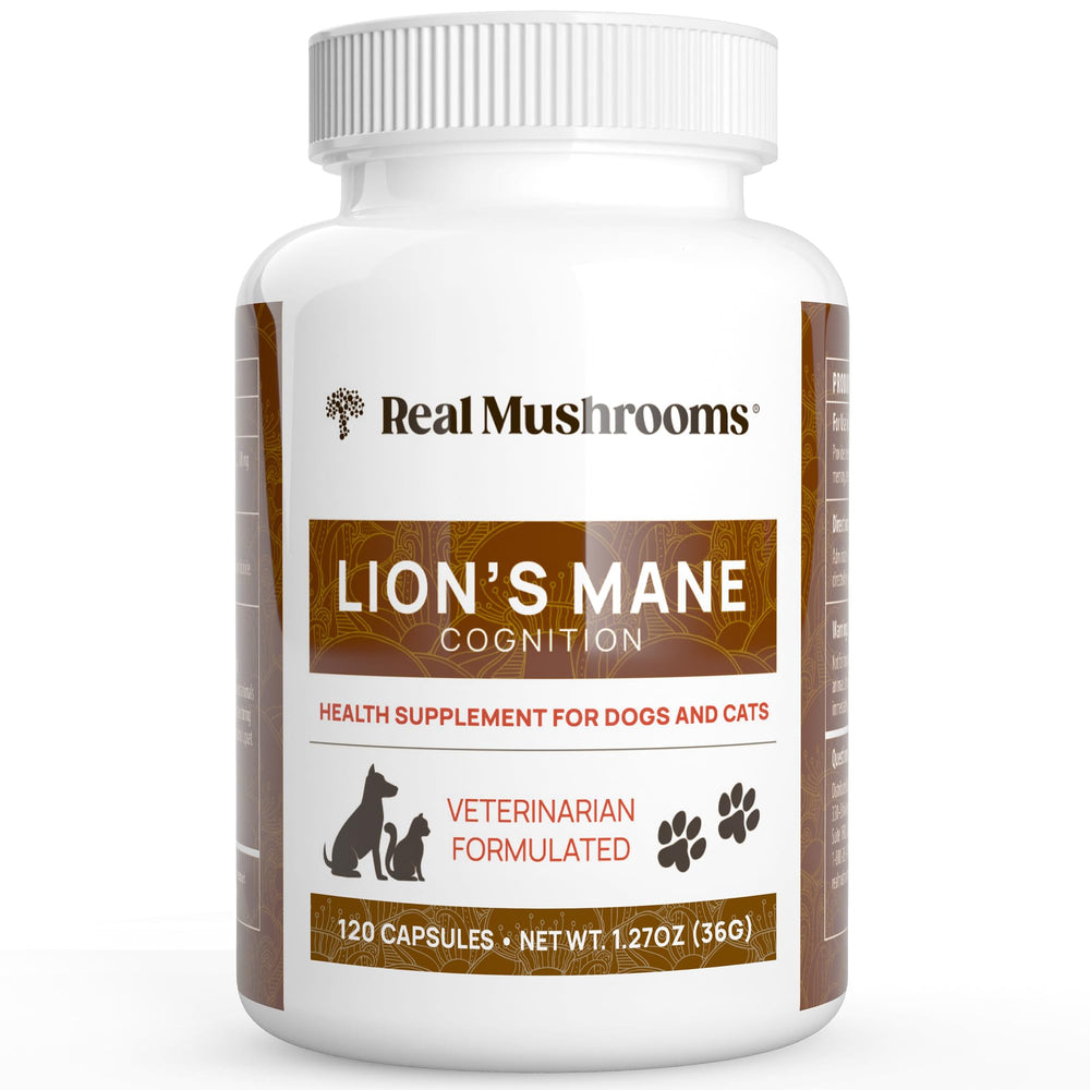 Real Mushrooms suplemento de melena de león para perros y gatos, apoyo diario al bienestar