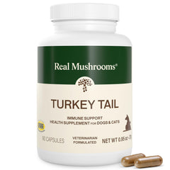 Real Mushrooms Turkey Tail para mascotas, cápsulas visibles en la mesa, apoyo diario al equilibrio