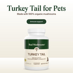 Real Mushrooms Turkey Tail, cápsulas mezcladas con comida, fácil de incorporar