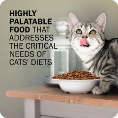 Redbarn Powerfood textura crujiente para gatos quisquillosos.
