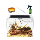 Reptile Growth Mini Terrarium – vista total para observar al reptil desde cualquier ángulo.