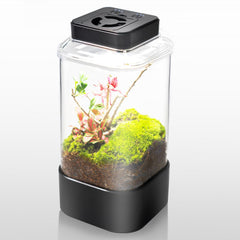 REPTI ZOO Terrario con luz de diodos ajustable para iluminación adecuada