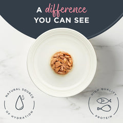 Reveal lata con proteína real como primer ingrediente, experiencia sabrosa.