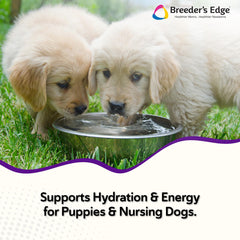 Revival Animal Health Breeder's Edge Puppy Lyte, polvo sabor pollo, mejora la energía en cachorros.