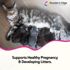 Breeder's Edge Oxy Mate de Revival, nutrientes clave para gestación canina y felina