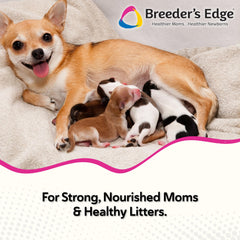 Revival Oxy Momma Soft Chews, masticables suaves, ideal para lactancia en perros y gatos.