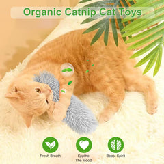 Rishoesu juguete catnip natural interactivo: fomenta juego y exploración