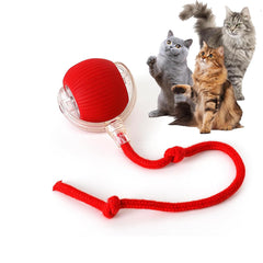 Rocfish Juguete interactivo para gatos de interior que invita al juego.
